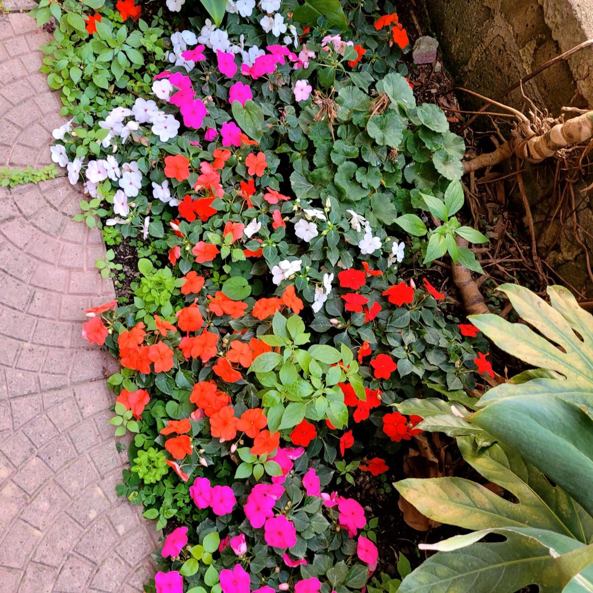 Casa Anselmo Guest House 파가니 외부 사진