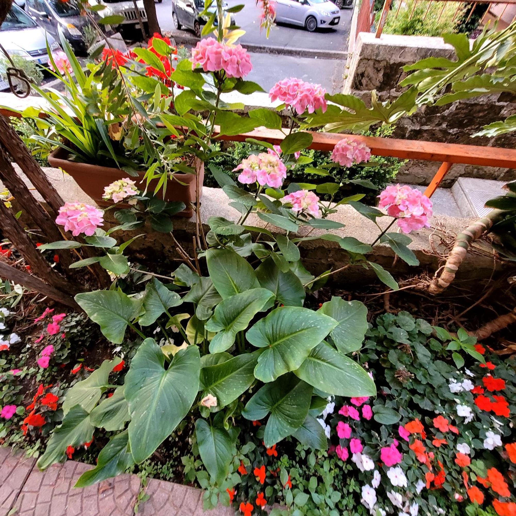 Casa Anselmo Guest House 파가니 외부 사진